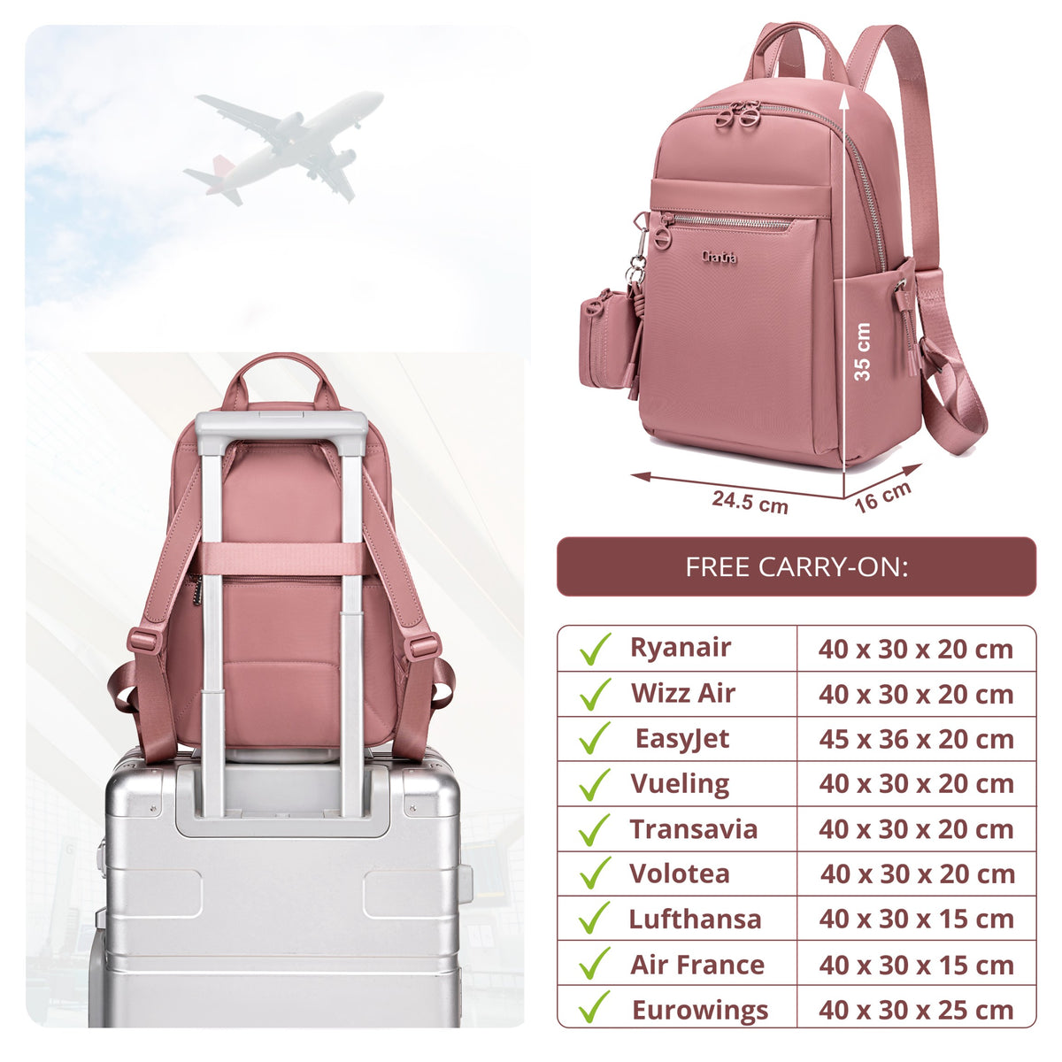 Compact Women's City Backpack Chantria Elegant | Fits iPad & Essentials | With Clip-On Earbuds Case | Smart Pockets | Luggage Strap – Antique Rose